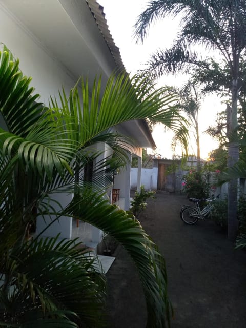 Garden, Garden view