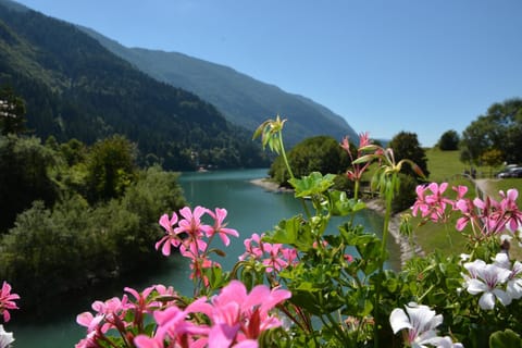 Casa Angelo Apartment in Molveno