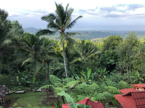 Natural landscape, Garden, Garden view