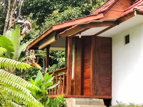 Property building, Garden