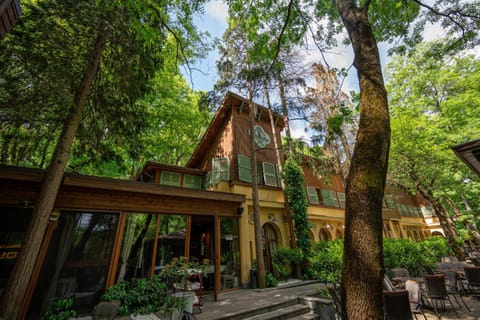 Property building, Natural landscape, Garden