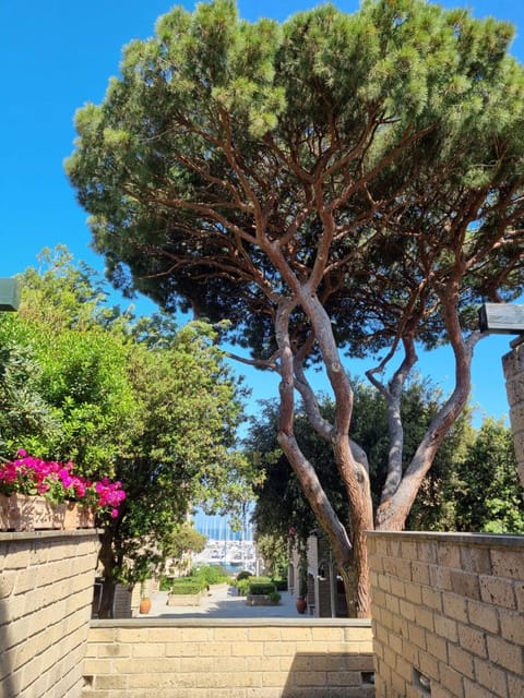 Appartamento Punta Ala Apartment in Punta Ala