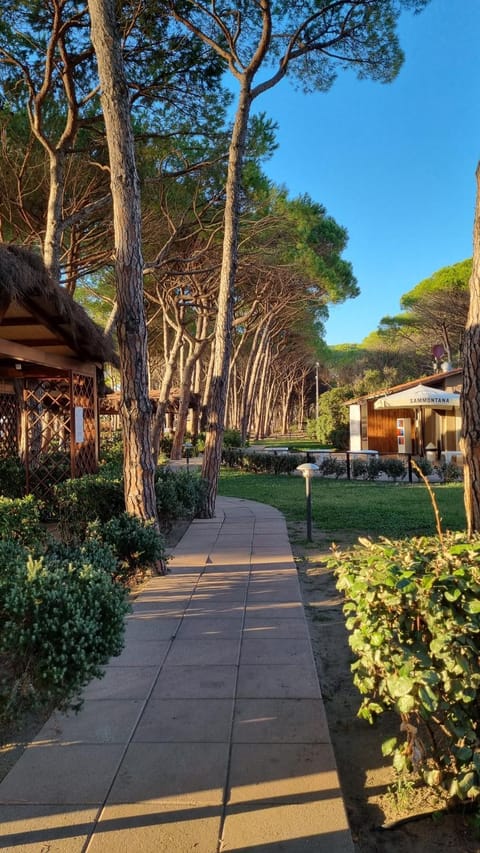 Appartamento Punta Ala Apartment in Punta Ala