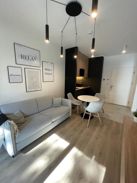 Living room, Photo of the whole room, Seating area