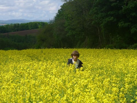 Spring, Natural landscape