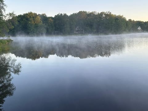 Lake view