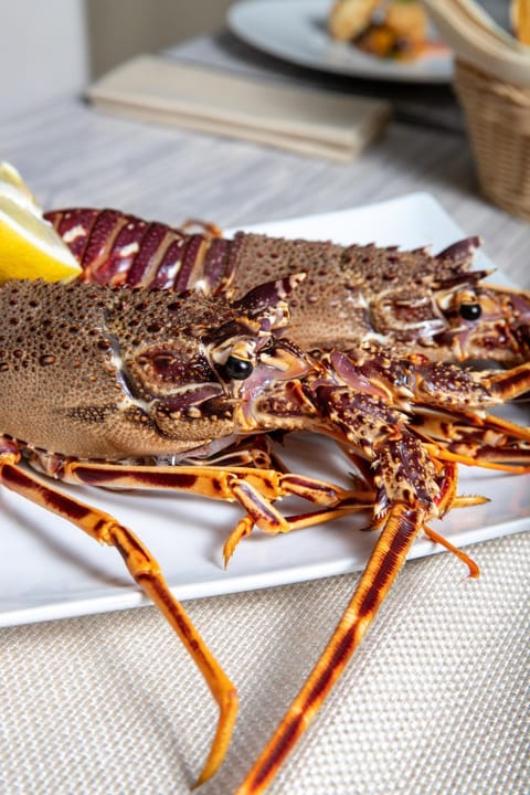 Food and drinks, Food, Lunch, Dinner