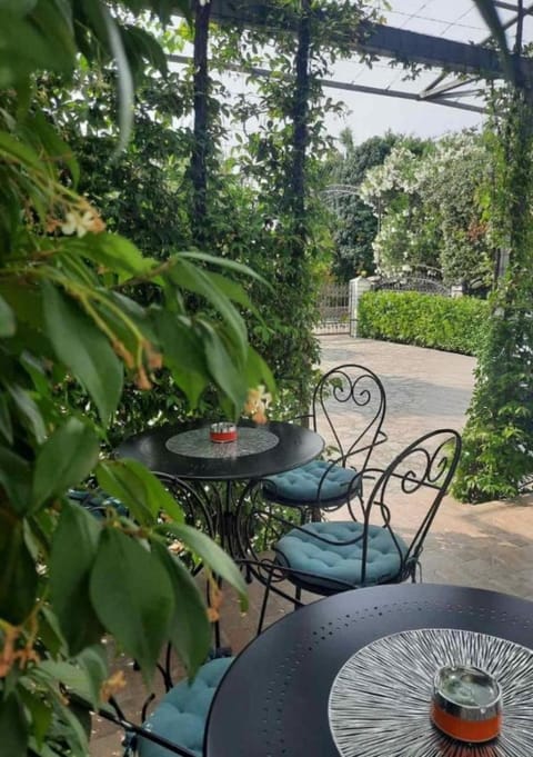 Patio, Seating area, Garden view