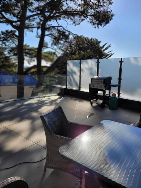 Patio, BBQ facilities, Balcony/Terrace