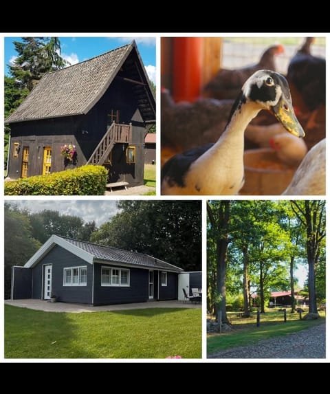 Property building, Area and facilities, Area and facilities