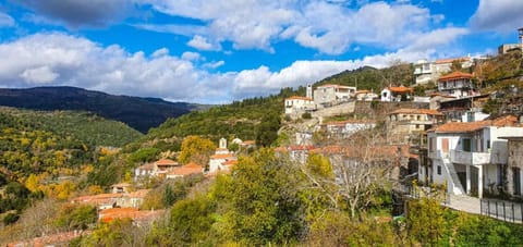 Magnolia Traditional Stone House in Vamvakou House in Arcadia, Greece