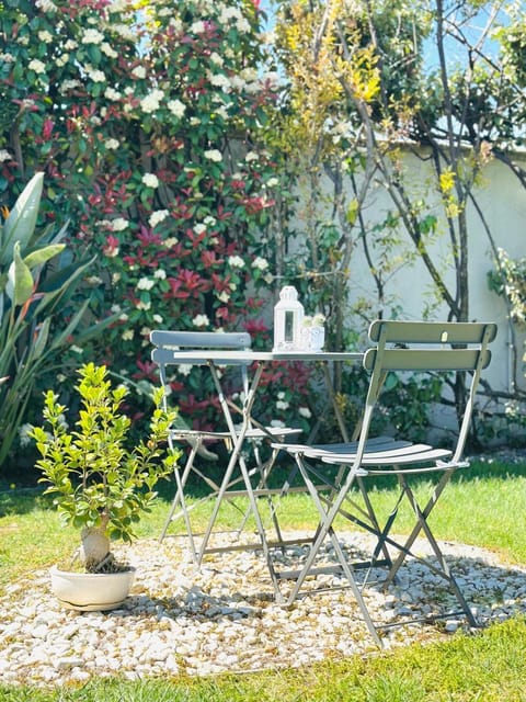 Day, Garden, Garden view