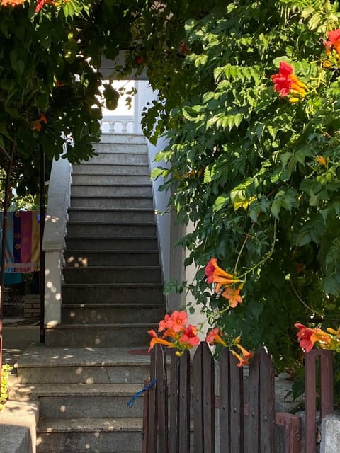 Facade/entrance, Garden