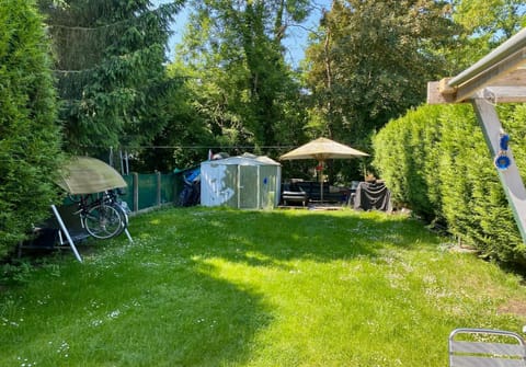 Day, Summer, Garden, Garden, Garden view, Garden view