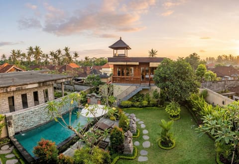 Natural landscape, Garden, Swimming pool