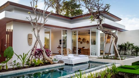 Day, Garden, Swimming pool
