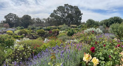 Natural landscape, Garden