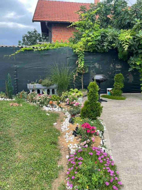 Vila city Villa in Vojvodina