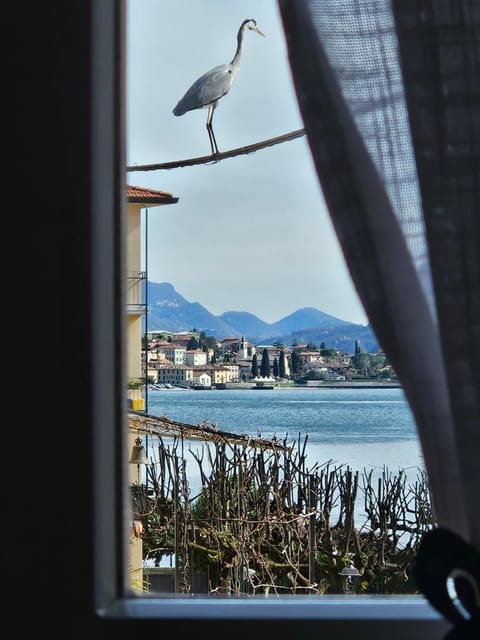 L'AIRONE - casa vacanza Apartment in Mandello del Lario