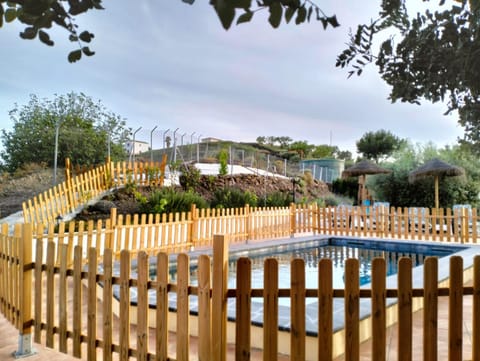 Garden, Garden view, Pool view, Swimming pool