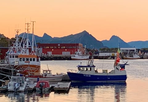 Neighbourhood, Natural landscape, Sunrise