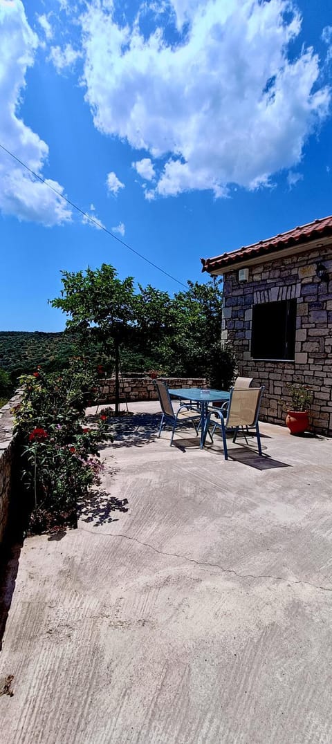 Το πέτρινο της Έυας Apartment in Messenia