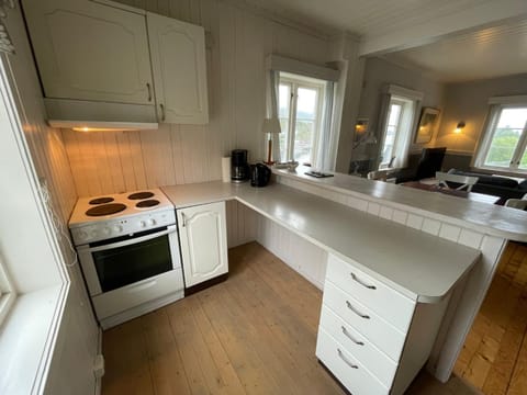 Kitchen or kitchenette, kitchen, kitchen