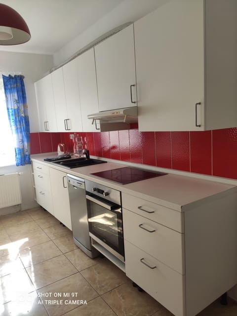 Kitchen or kitchenette, dishwasher, stove