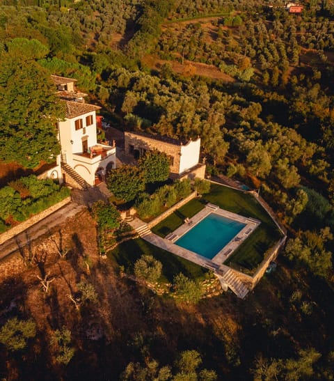 Bird's eye view, Swimming pool