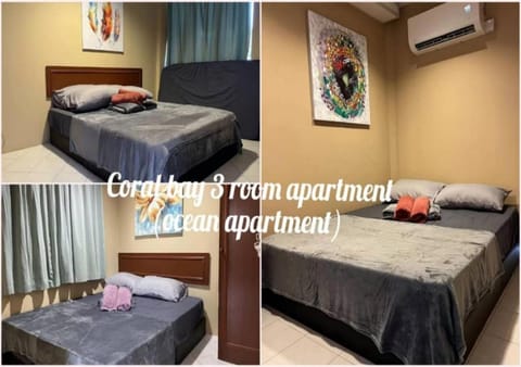 Bed, Photo of the whole room, Bedroom, bunk bed