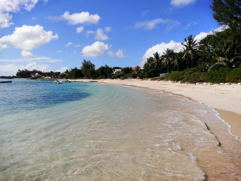 Natural landscape, Beach, Sea view