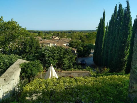 Garden view