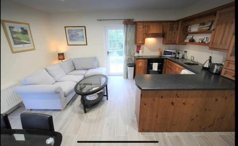 Living room, kitchen