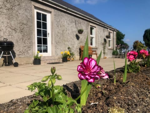 Ballyconnelly Cottages, Galgorm area Villa in Northern Ireland