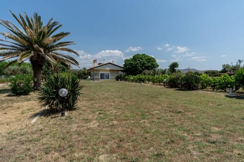 Property building, Garden, Garden view