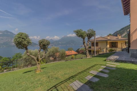 Patio, Garden, Garden view