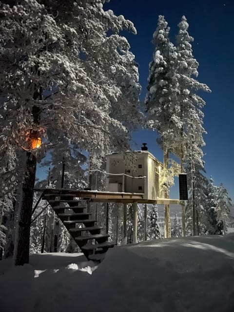 Night, Winter