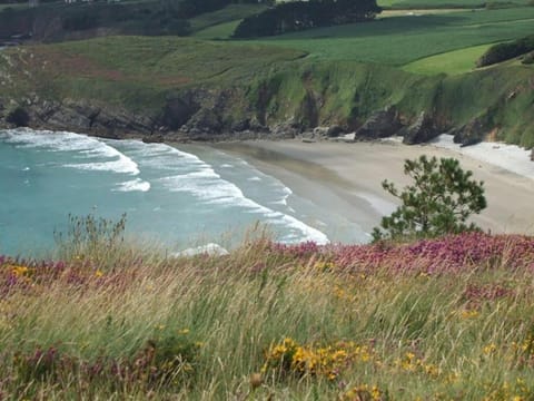 Gîtes Merour - Telgruc Apartment in Finistere