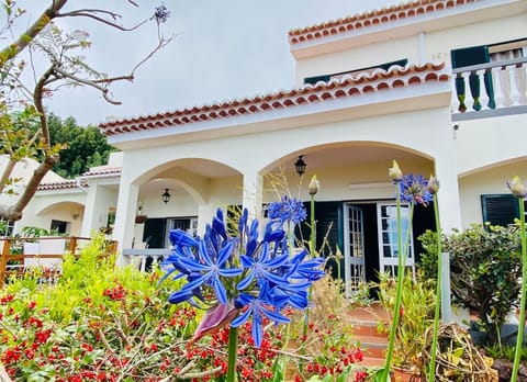 Property building, Patio, Facade/entrance, Garden