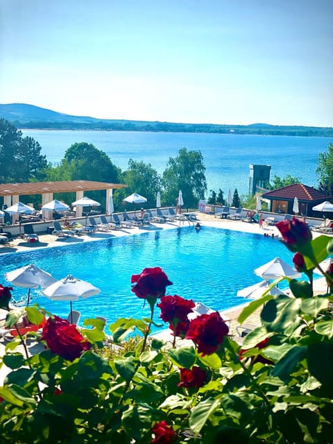 Pool view, Sea view, Swimming pool