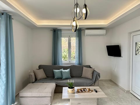 TV and multimedia, air conditioner