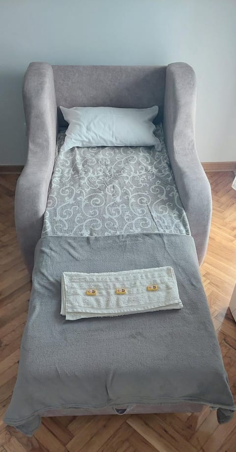 Apartman Janković Apartment in Serbia