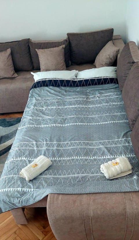 Apartman Janković Apartment in Serbia