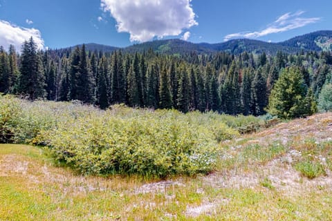 White River Lodge House in Vail
