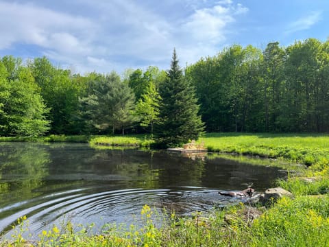 Natural landscape, Lake view