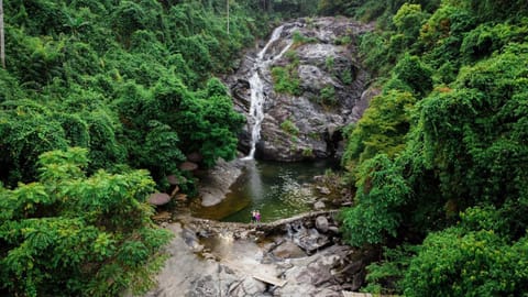 Natural landscape, Garden, Pool view, Swimming pool, Swimming pool