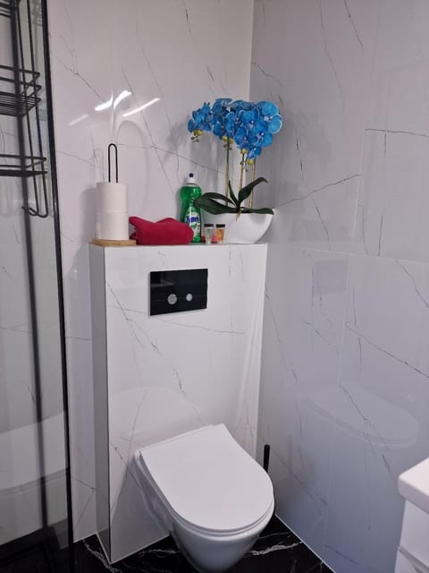 Toilet, Bathroom, towels