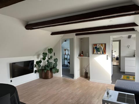 Near Legoland, Skolevej 25, 6640 Lunderskov Apartment in Region of Southern Denmark