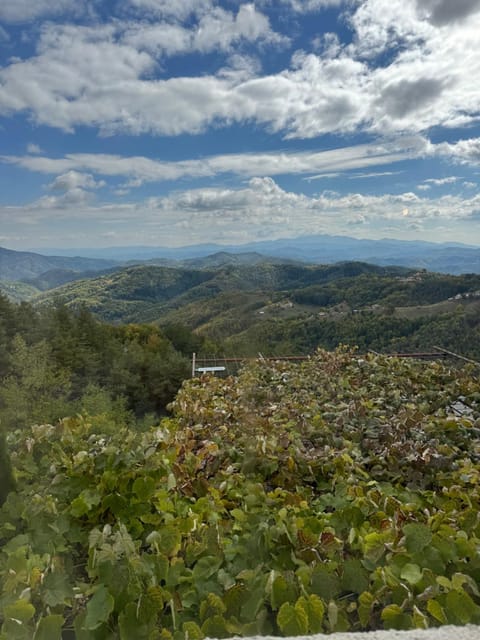 Александрова вила 1 Bed and Breakfast in Decentralized Administration of Macedonia and Thrace