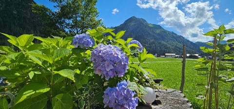 Ferienwohnung Zunzer Apartment in Oberstdorf